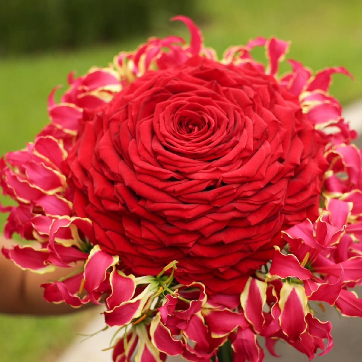Couture bridal clamelia bouquet close-up showing layered petals